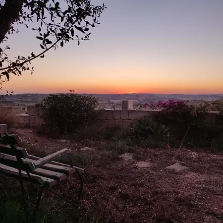 Xifer Birguma * Naxxar