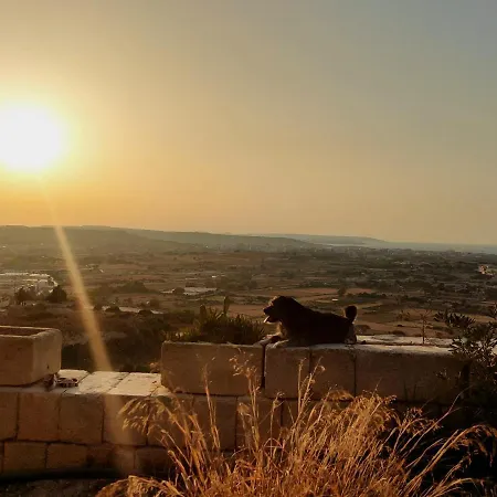 Xifer Birguma * Naxxar